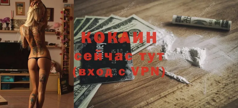 где продают   Пучеж  Cocaine Fish Scale 